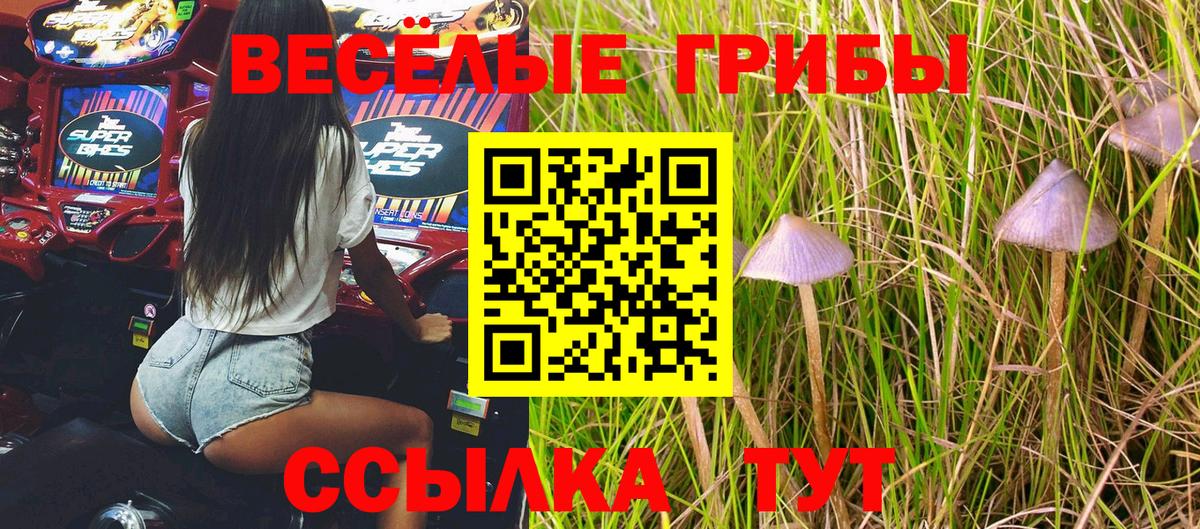 Куйбышев  Галлюциногенные грибы Cubensis  Вход с VPN  Галлюциногенные грибы GOLDEN TEACHER 